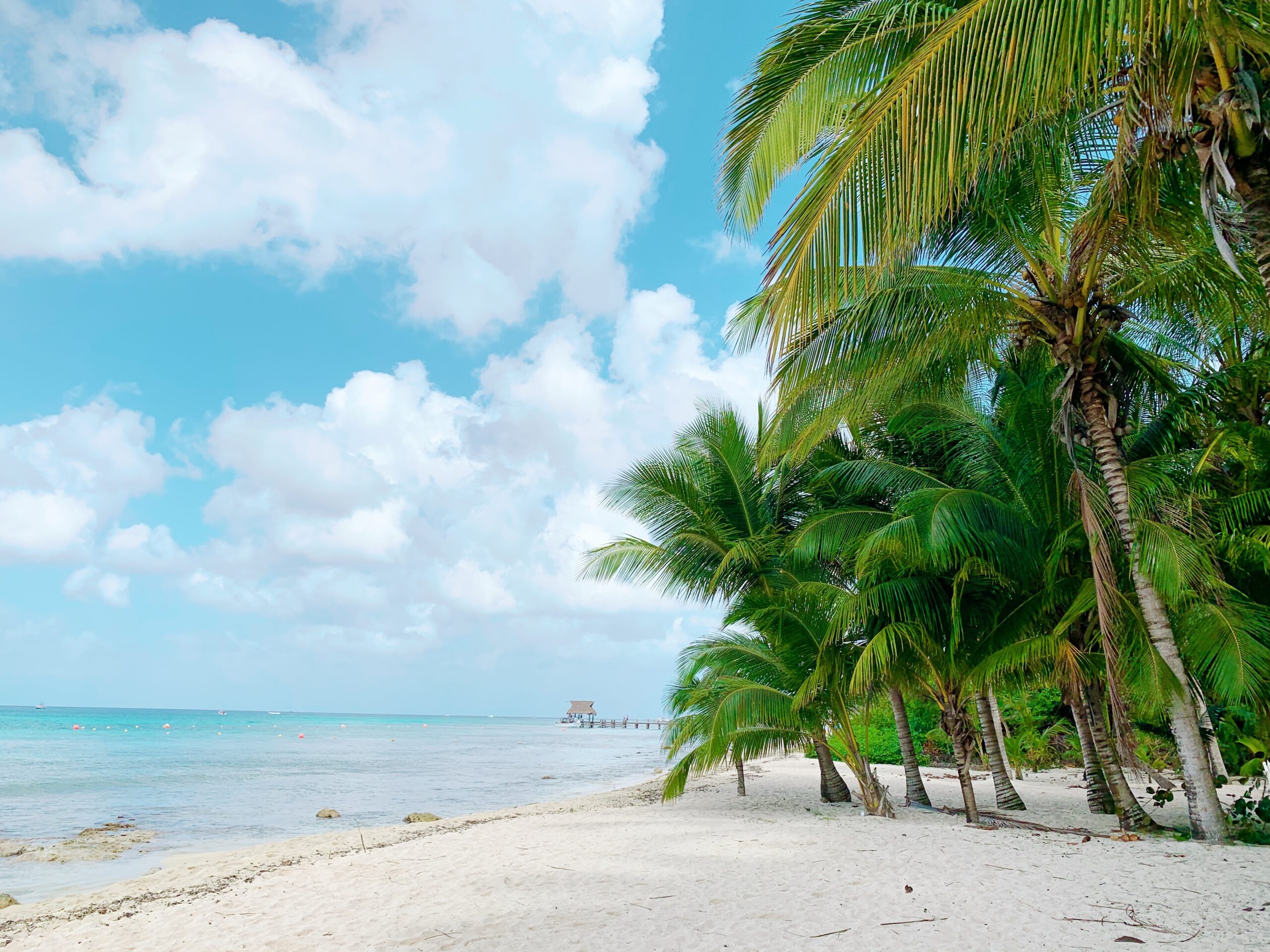 Imagen de Residencia de Lujo con vista al mar en Cozumel: Vive la exclusividad y el confort